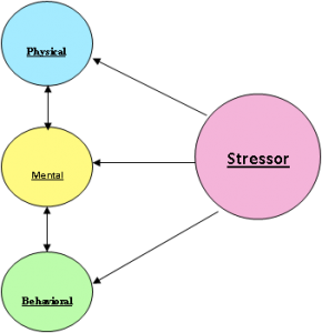 stress-response-diagram